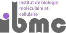 IBMC logo