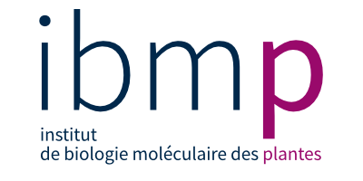 IBMP logo
