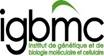IGBMC logo